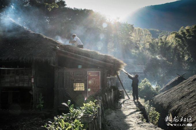 宝鸡两人获刑!贪野味儿捕了国家一级保护动物,同时引发山火……