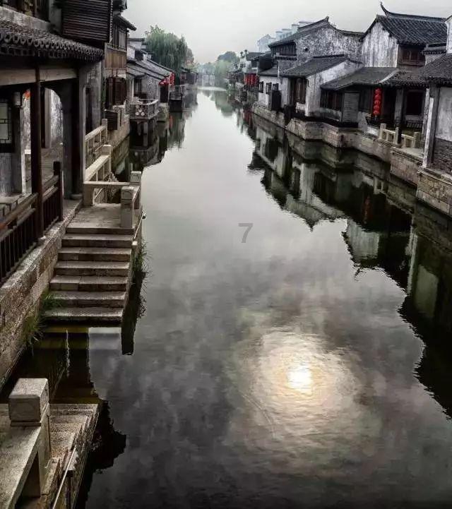 壁虎怕光吗？